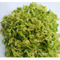 High quality dehydrated Korean vegetables 10*10mm